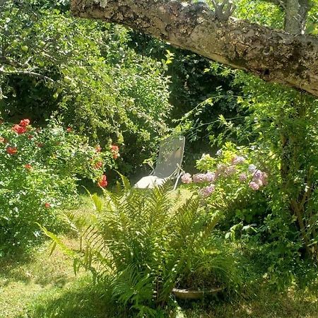 Charmant T2 Dans Chalet Familial Valdeblore Bagian luar foto