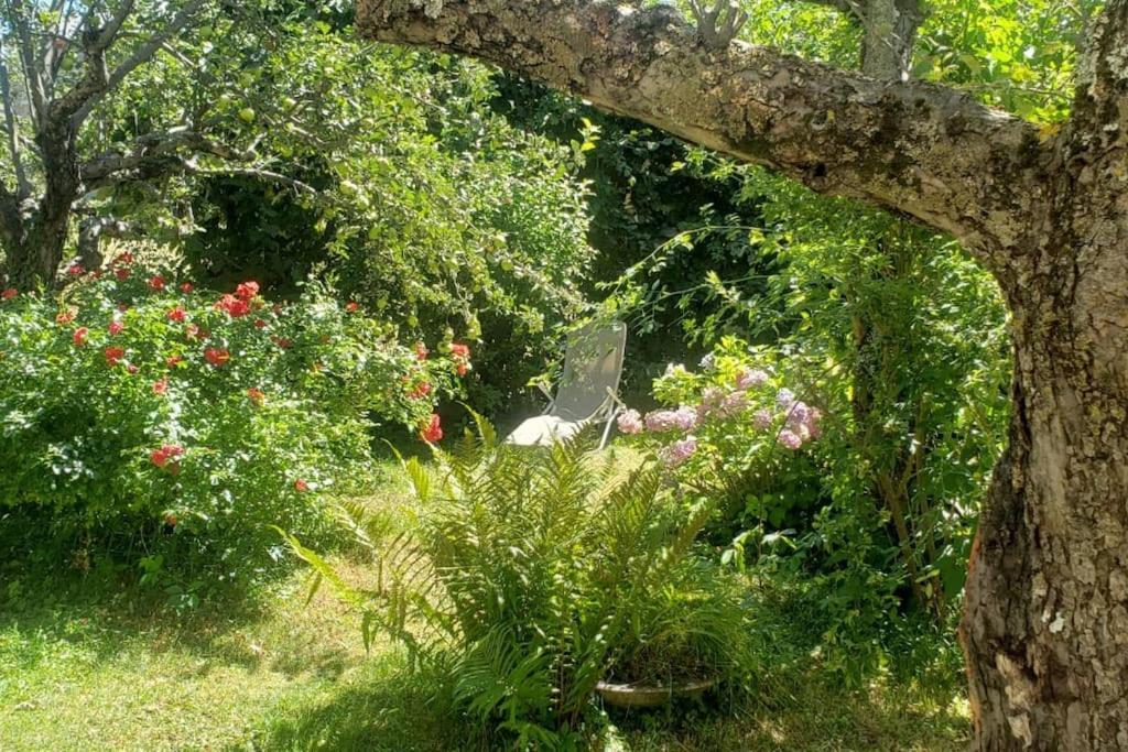 Charmant T2 Dans Chalet Familial Valdeblore Bagian luar foto